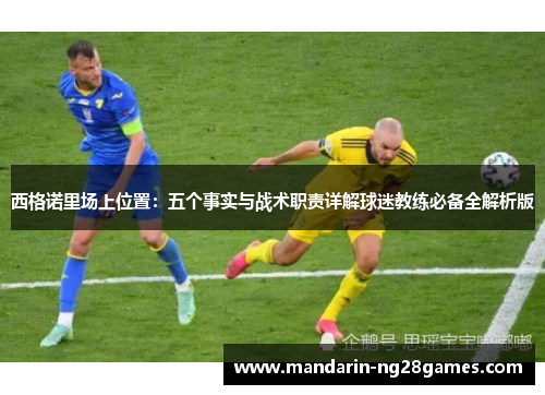 西格诺里场上位置：五个事实与战术职责详解球迷教练必备全解析版