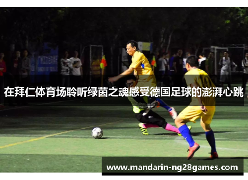 在拜仁体育场聆听绿茵之魂感受德国足球的澎湃心跳